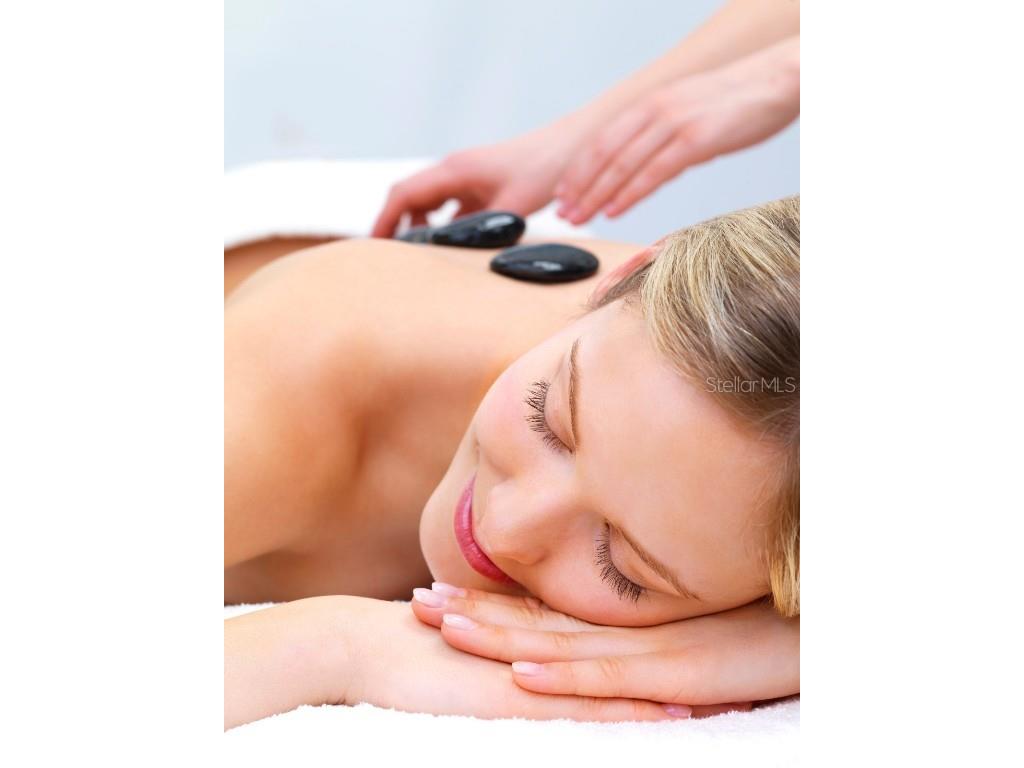 1164 Castle Pines Court Reunion FL 34747 O6319916 image47