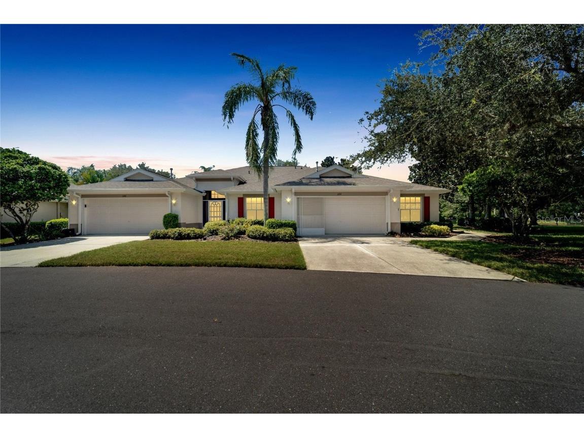 1164 Corinth Greens Drive #1164 Sun City Center FL 33573 T3472227 image1