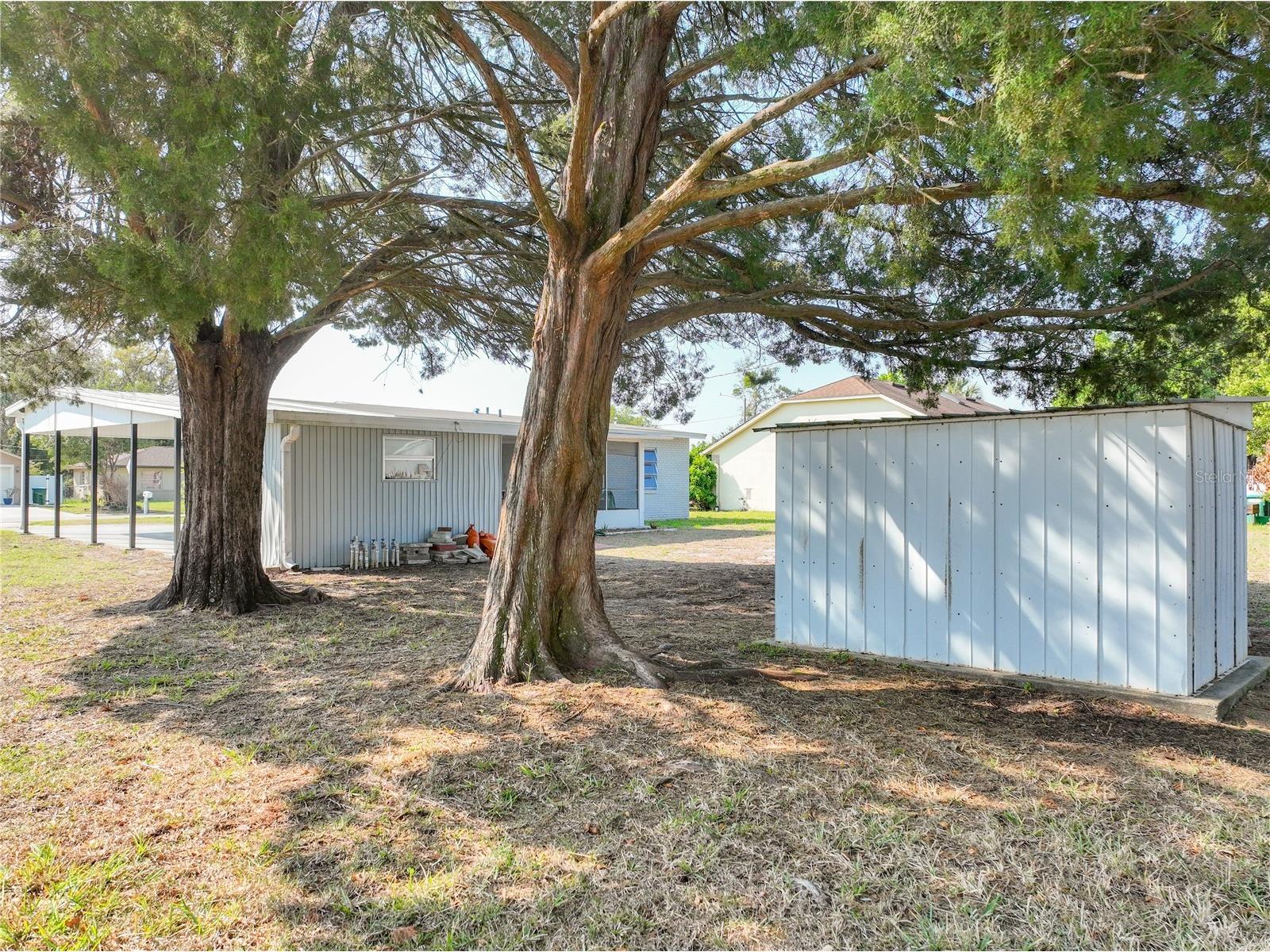 1164 Madura Drive Deltona FL 32725 O6393719 image35