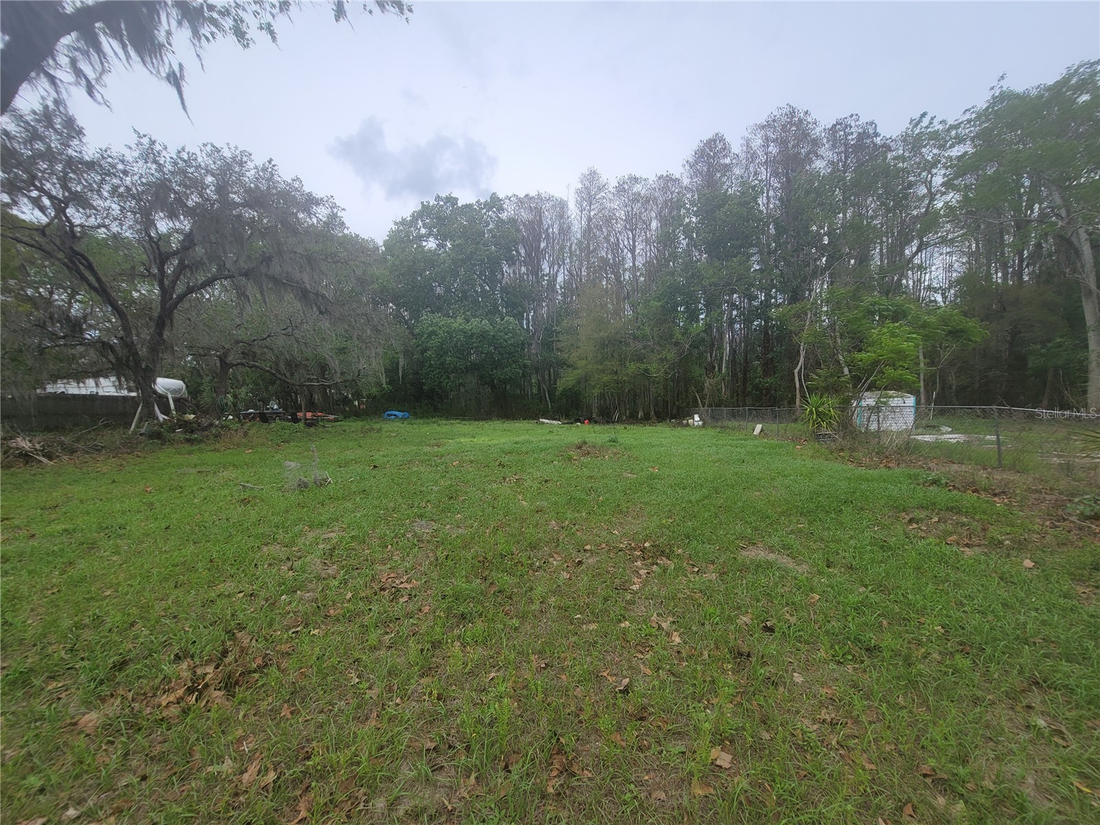 11641 Bruin Drive New Port Richey FL 34654 TB8487799 image1