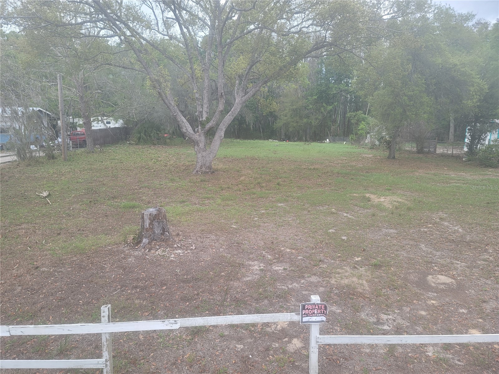 11641 Bruin Drive New Port Richey FL 34654 TB8487799 image10