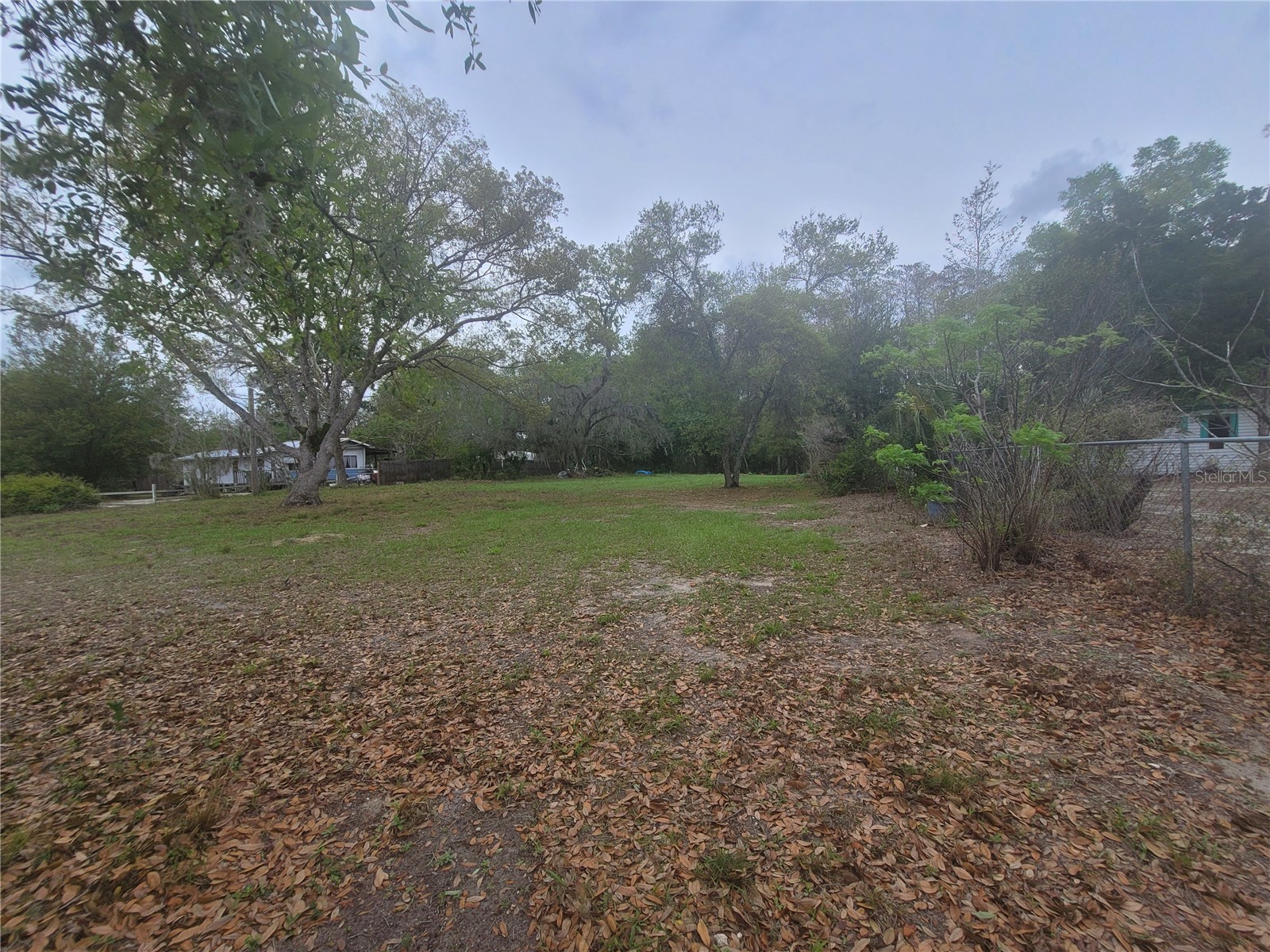 11641 Bruin Drive New Port Richey FL 34654 TB8487799 image12