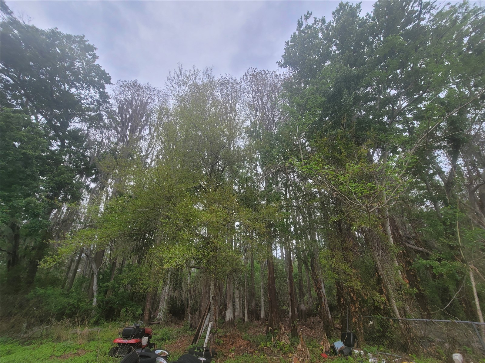 11641 Bruin Drive New Port Richey FL 34654 TB8487799 image13