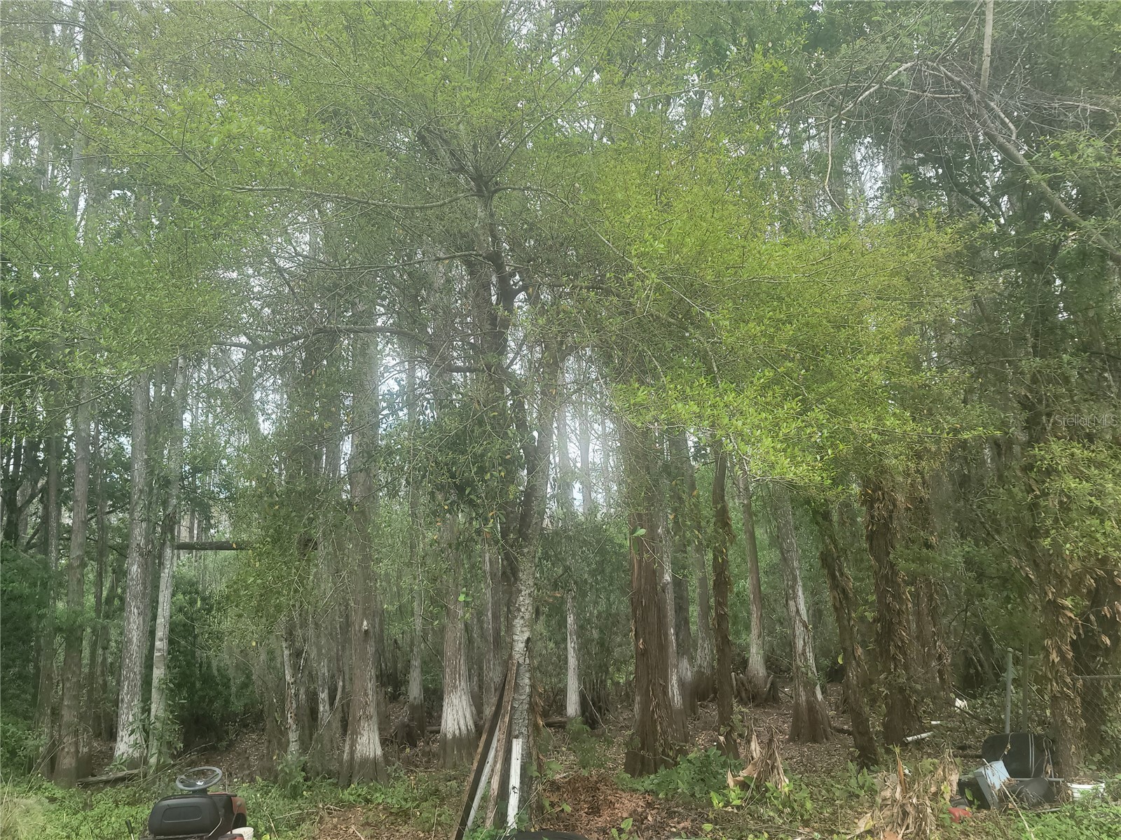 11641 Bruin Drive New Port Richey FL 34654 TB8487799 image14