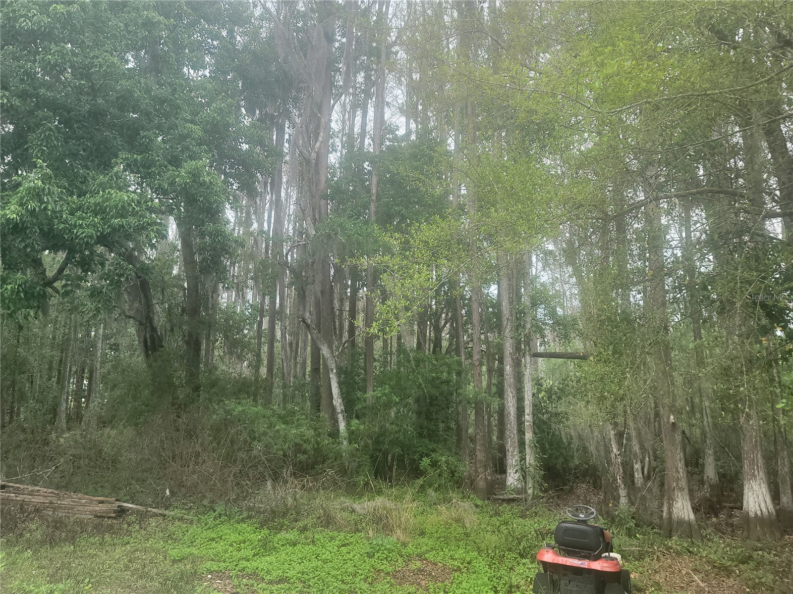 11641 Bruin Drive New Port Richey FL 34654 TB8487799 image15