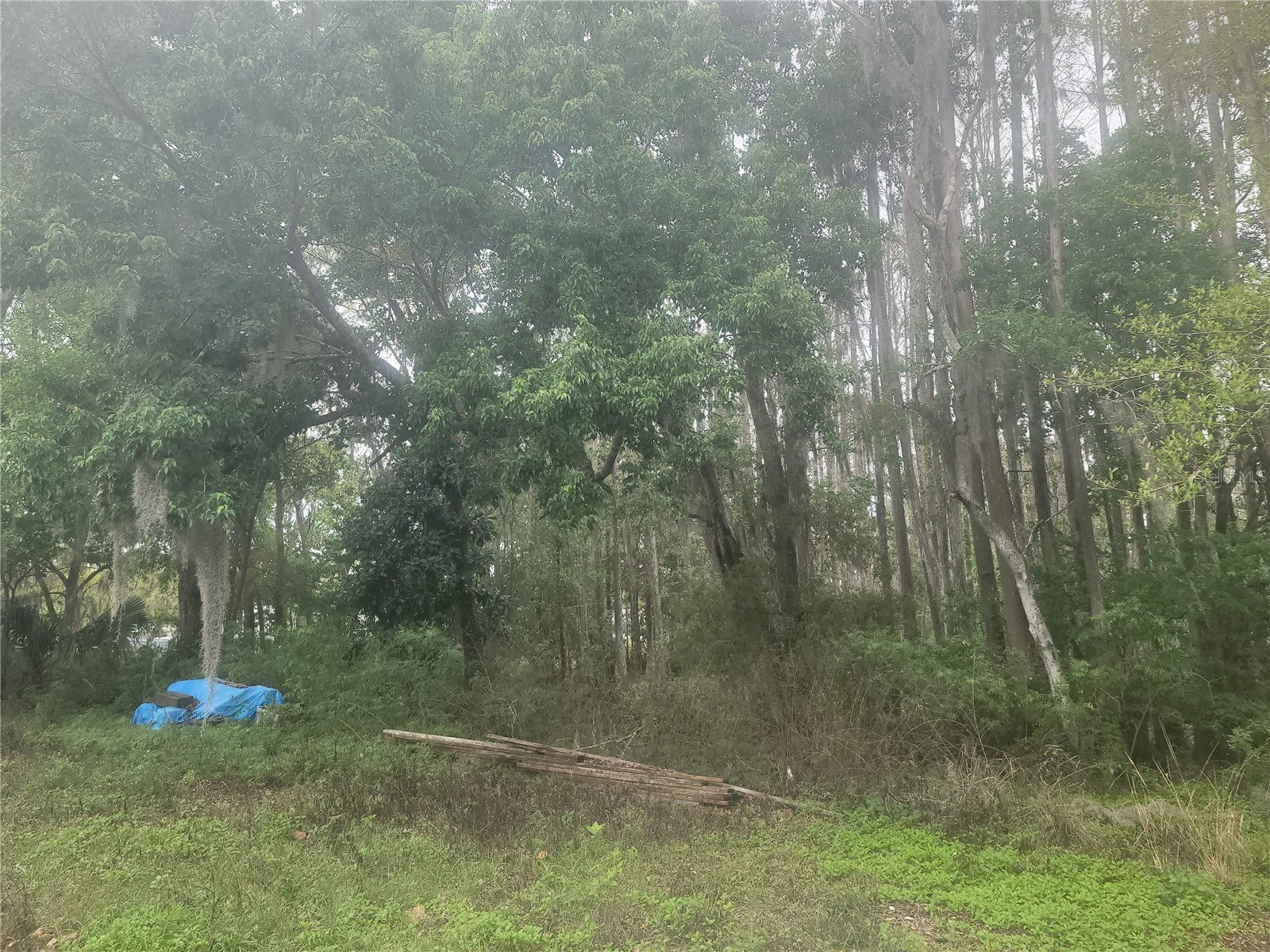 11641 Bruin Drive New Port Richey FL 34654 TB8487799 image16