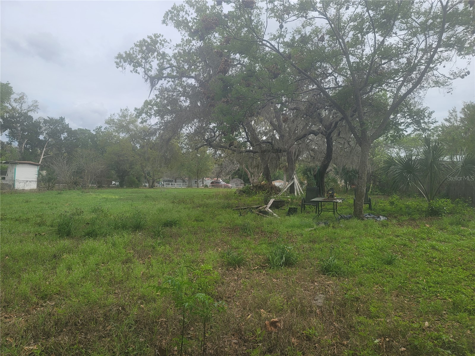 11641 Bruin Drive New Port Richey FL 34654 TB8487799 image18