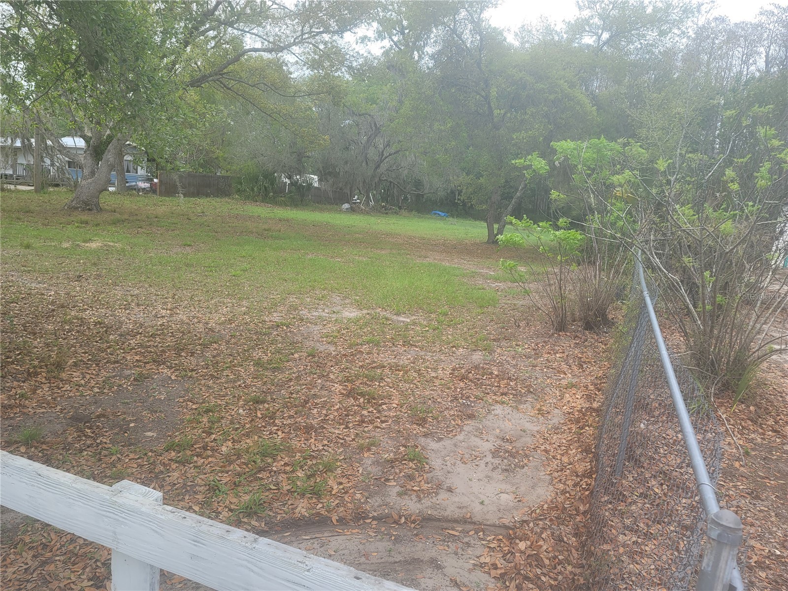 11641 Bruin Drive New Port Richey FL 34654 TB8487799 image2