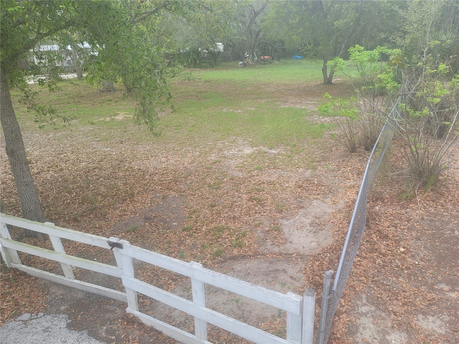 11641 Bruin Drive New Port Richey FL 34654 TB8487799 image3