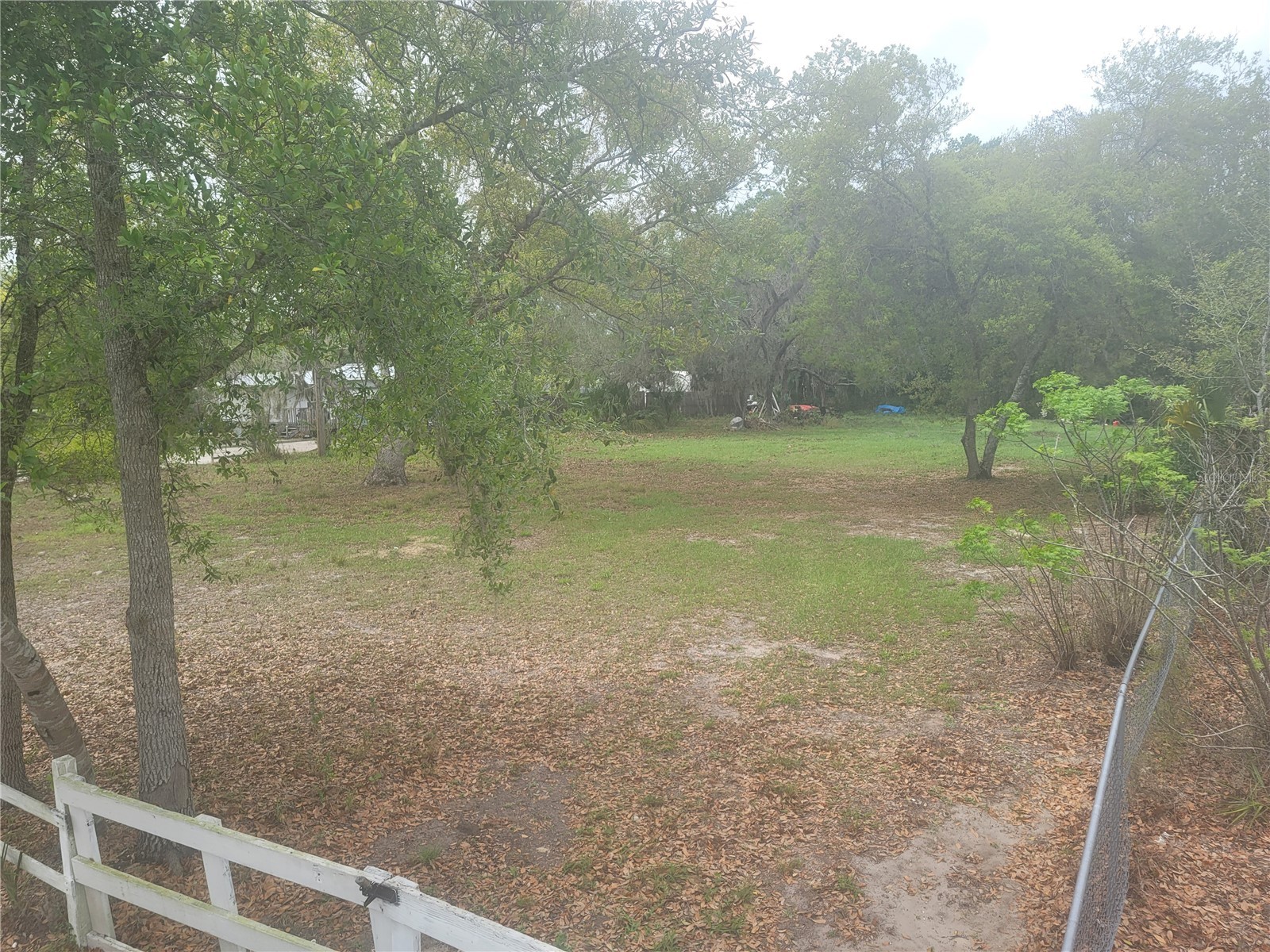 11641 Bruin Drive New Port Richey FL 34654 TB8487799 image4