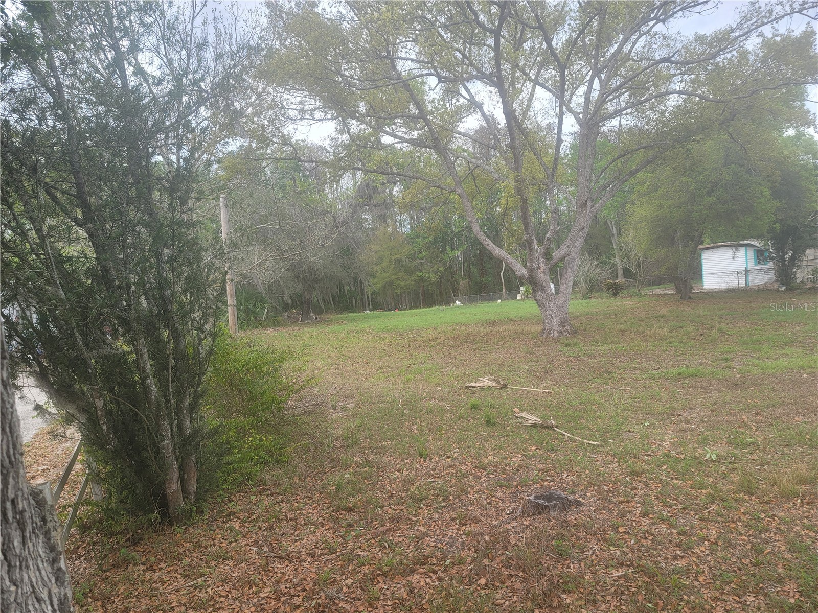 11641 Bruin Drive New Port Richey FL 34654 TB8487799 image5