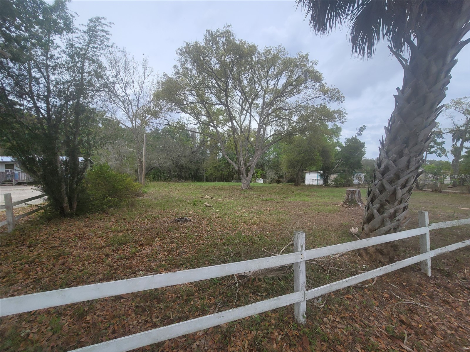 11641 Bruin Drive New Port Richey FL 34654 TB8487799 image6