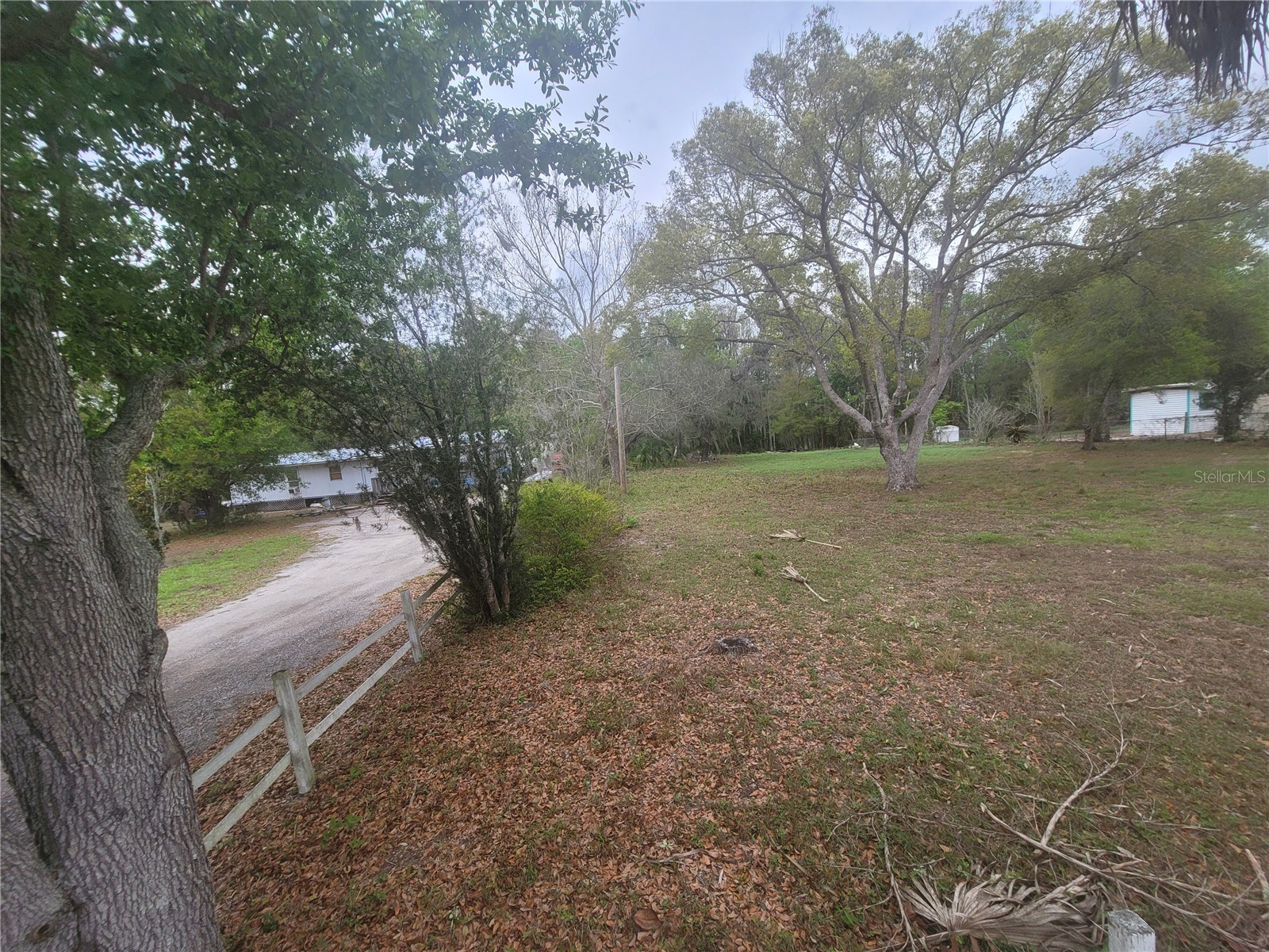 11641 Bruin Drive New Port Richey FL 34654 TB8487799 image7