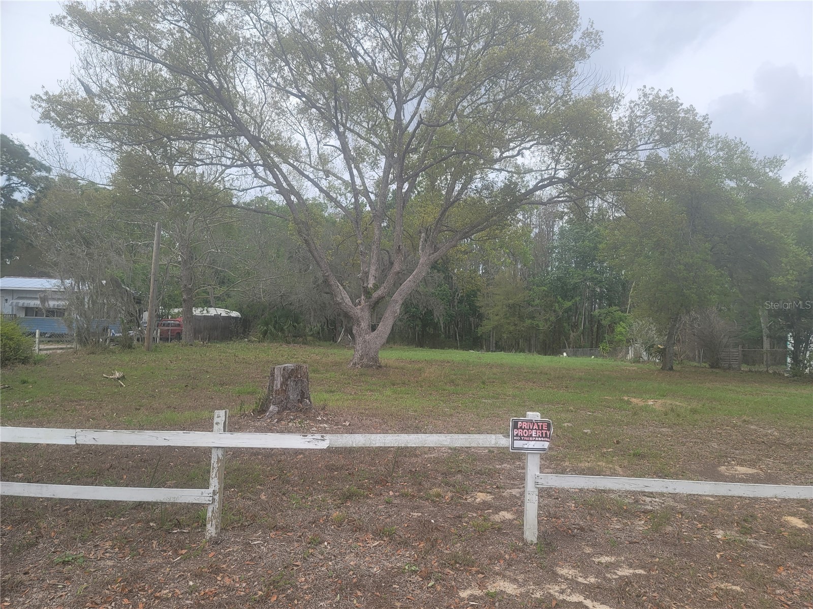 11641 Bruin Drive New Port Richey FL 34654 TB8487799 image8