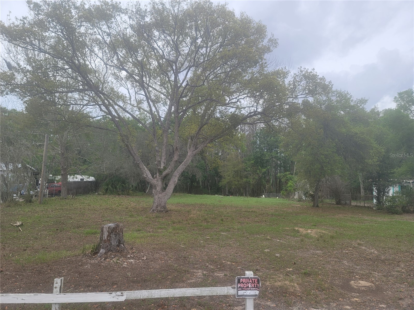 11641 Bruin Drive New Port Richey FL 34654 TB8487799 image9