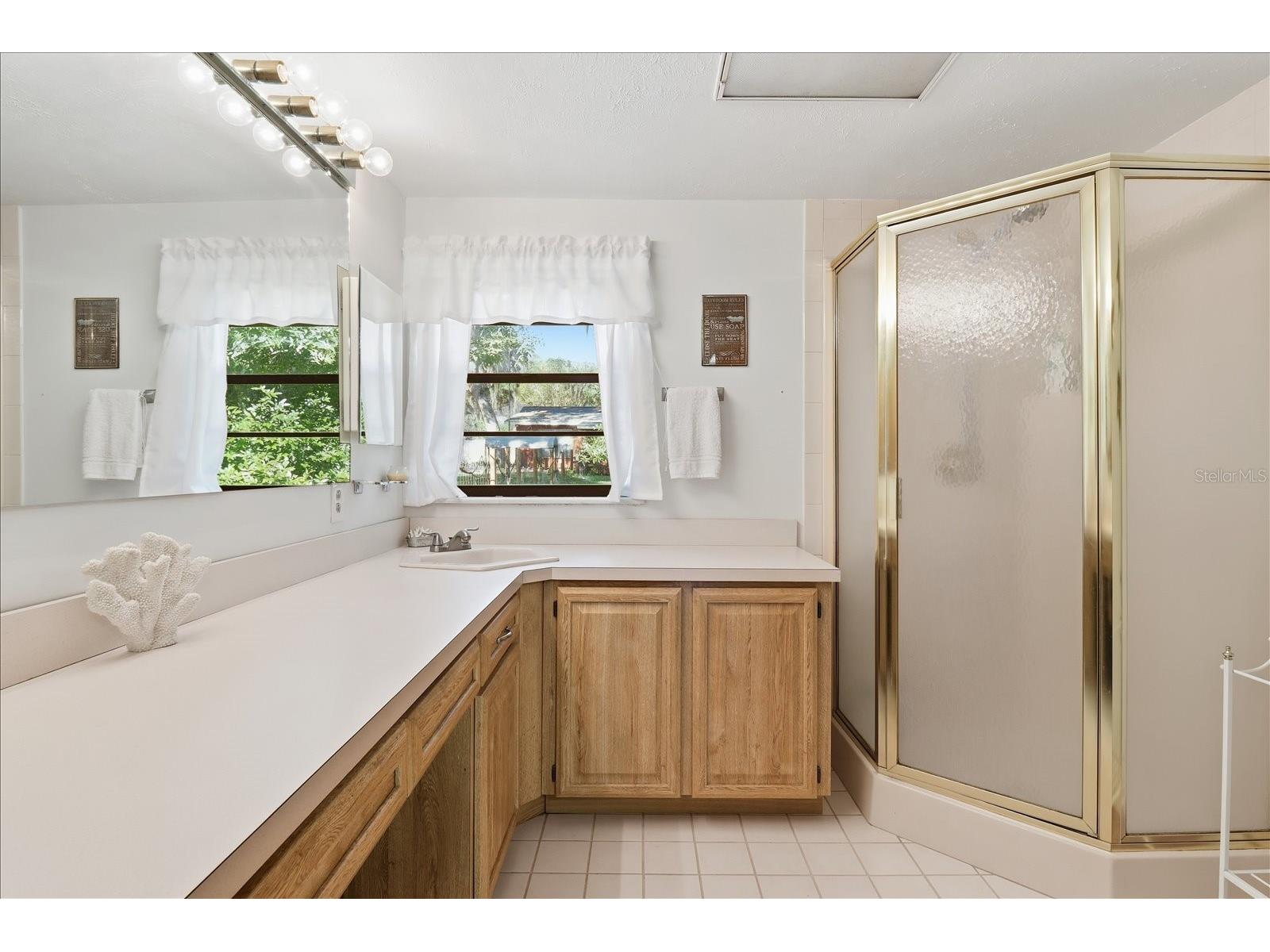 11641 E Salmon Drive Floral City FL 34436 - TSALA APOPKA LAKE CANAL TB8504218 image18
