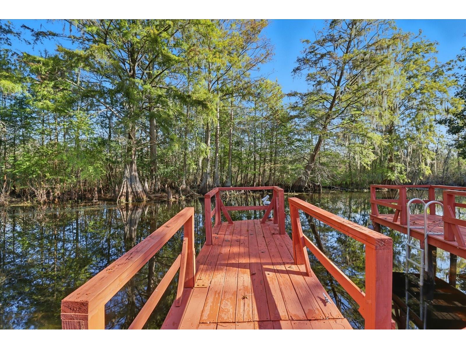 11641 E Salmon Drive Floral City FL 34436 - TSALA APOPKA LAKE CANAL TB8504218 image29