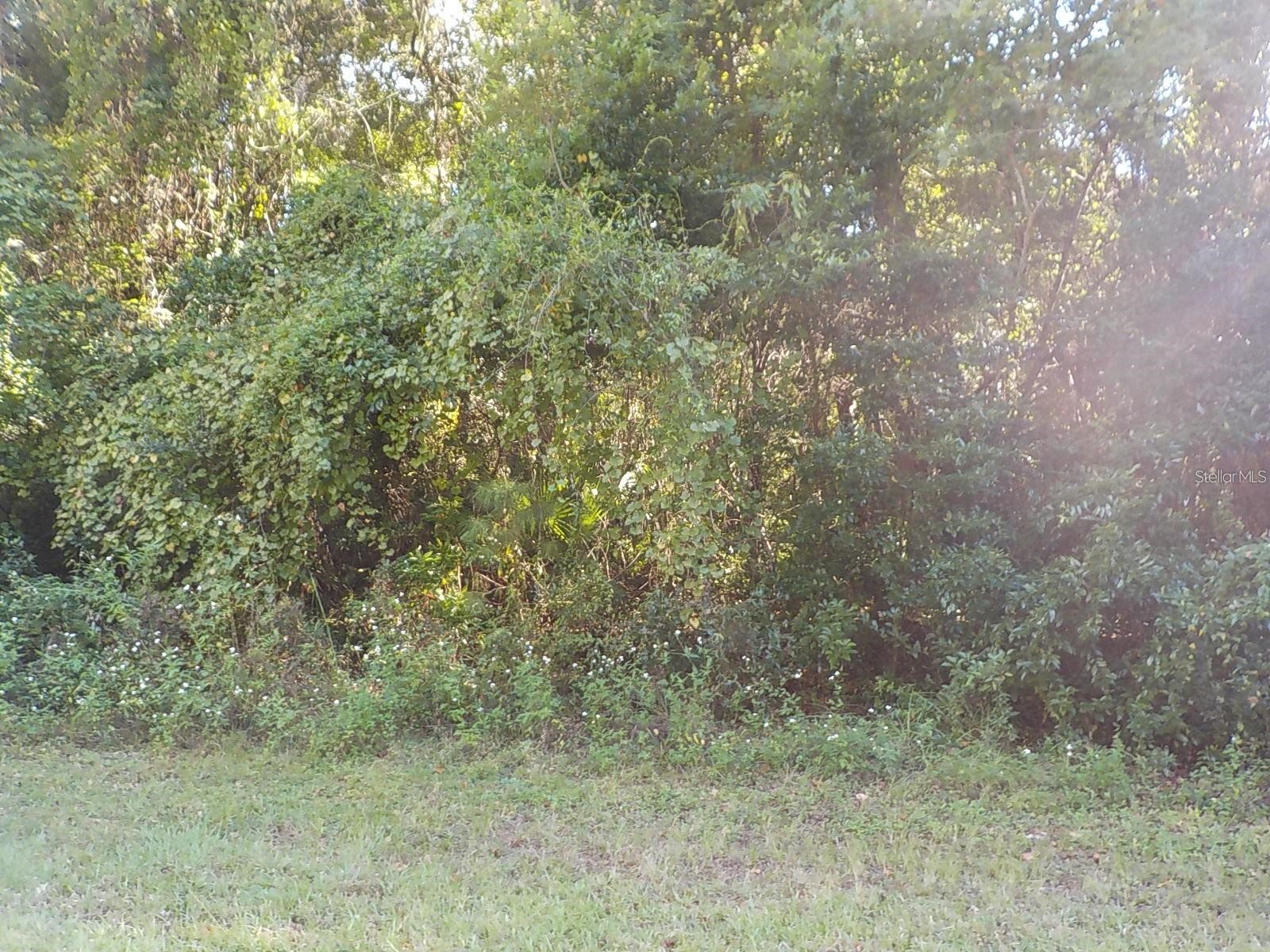 11641 N Kenlake Circle Dunnellon FL 34434 OM716706 image1