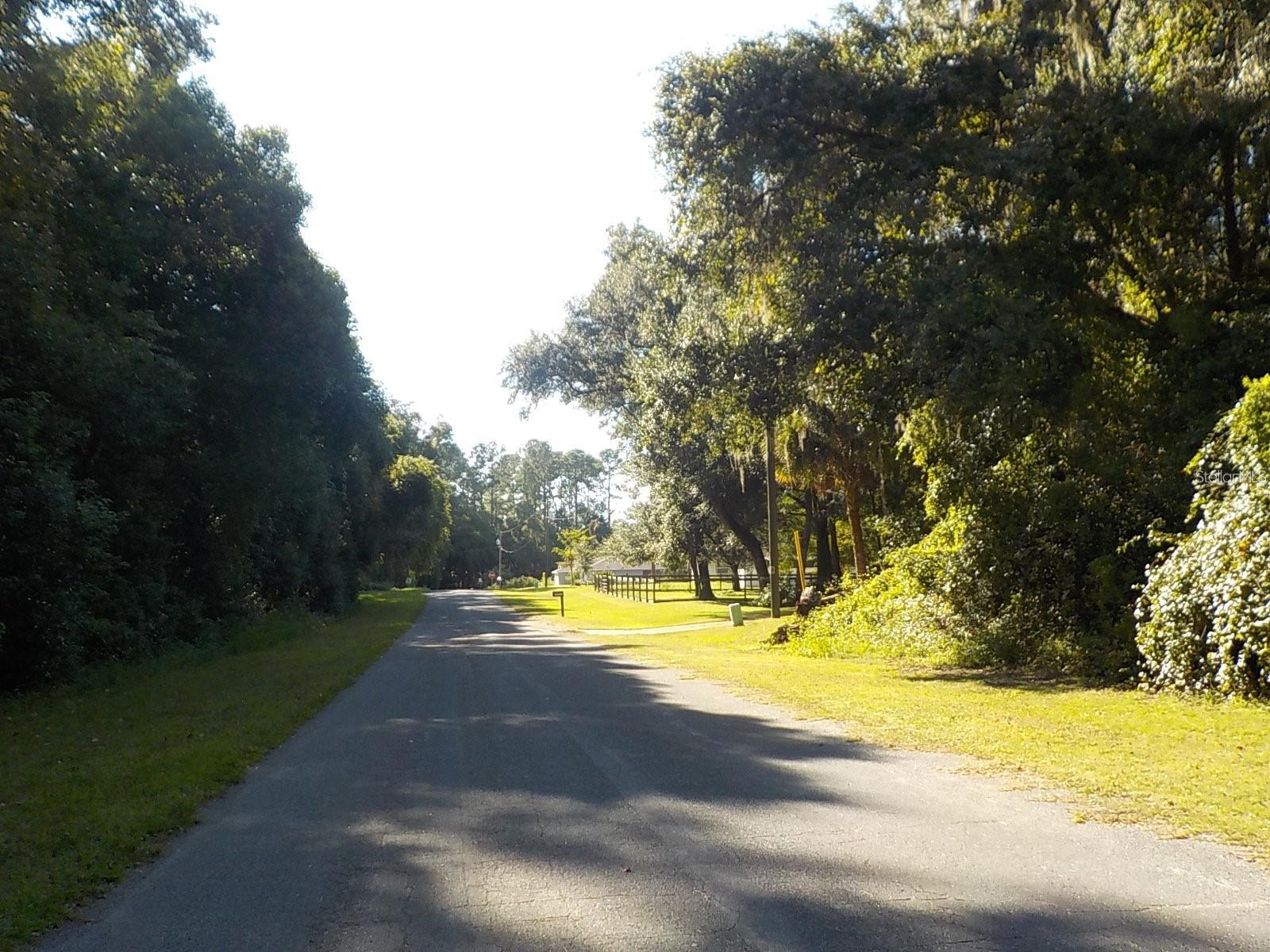 11641 N Kenlake Circle Dunnellon FL 34434 OM716706 image3