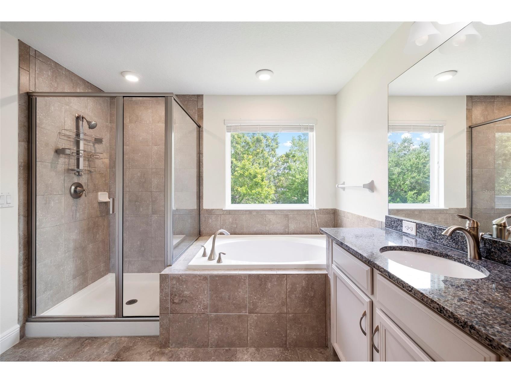 11641 Sweet Tangerine Lane Tampa FL 33626 TB8512622 image33