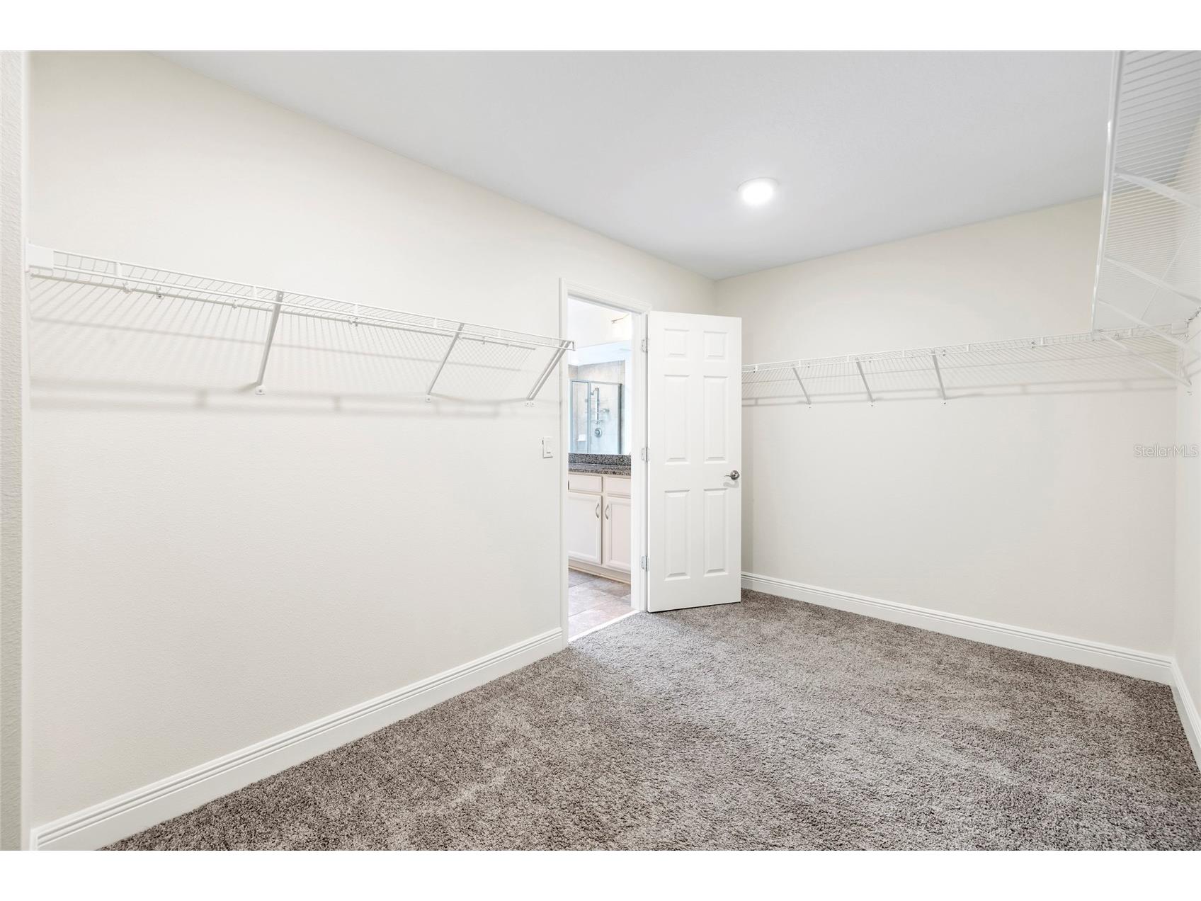 11641 Sweet Tangerine Lane Tampa FL 33626 TB8512622 image35