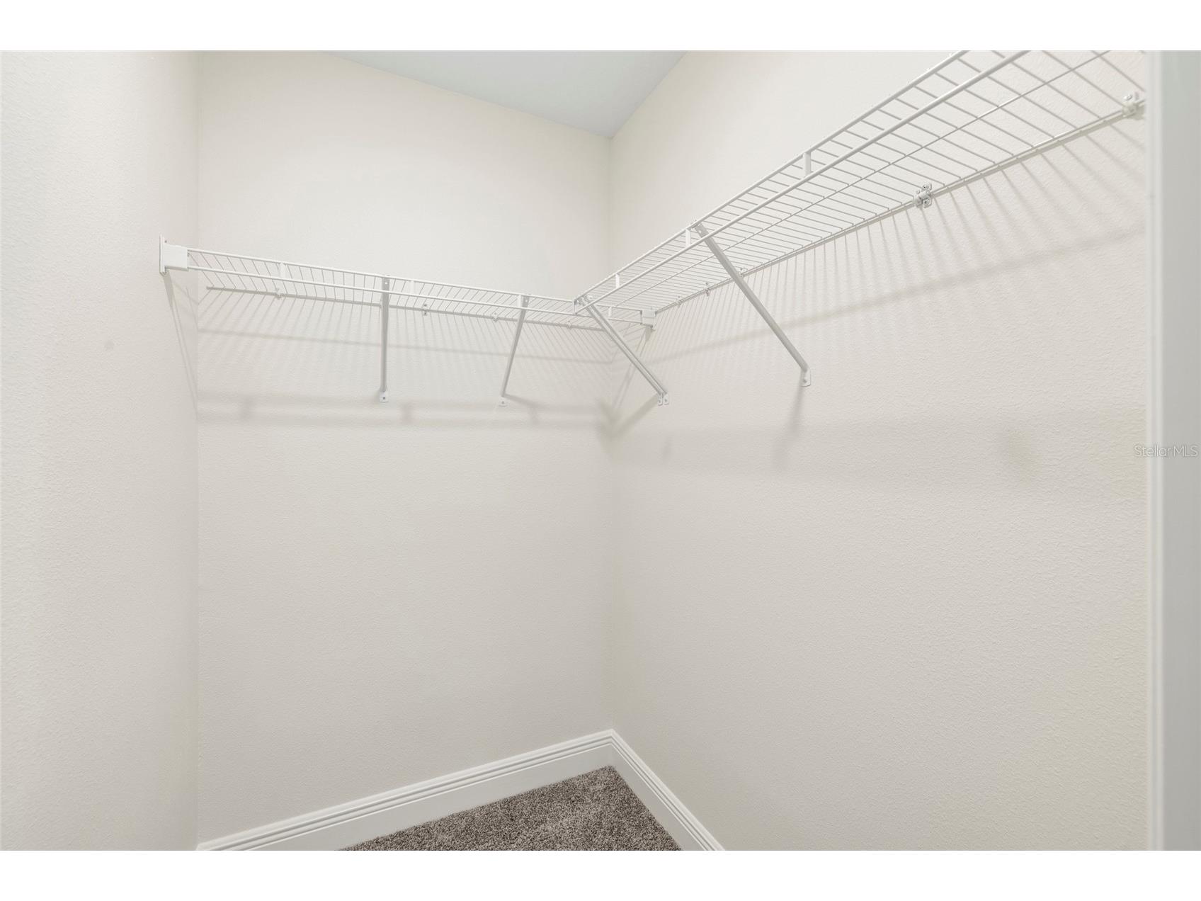 11641 Sweet Tangerine Lane Tampa FL 33626 TB8512622 image38