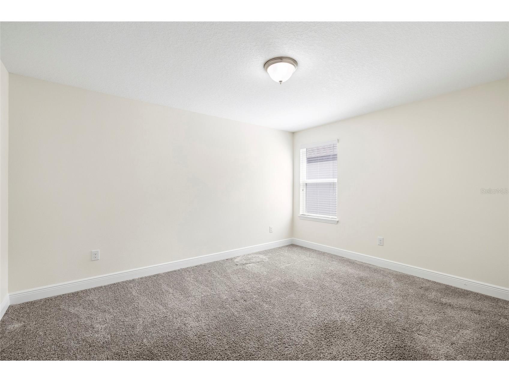 11641 Sweet Tangerine Lane Tampa FL 33626 TB8512622 image41