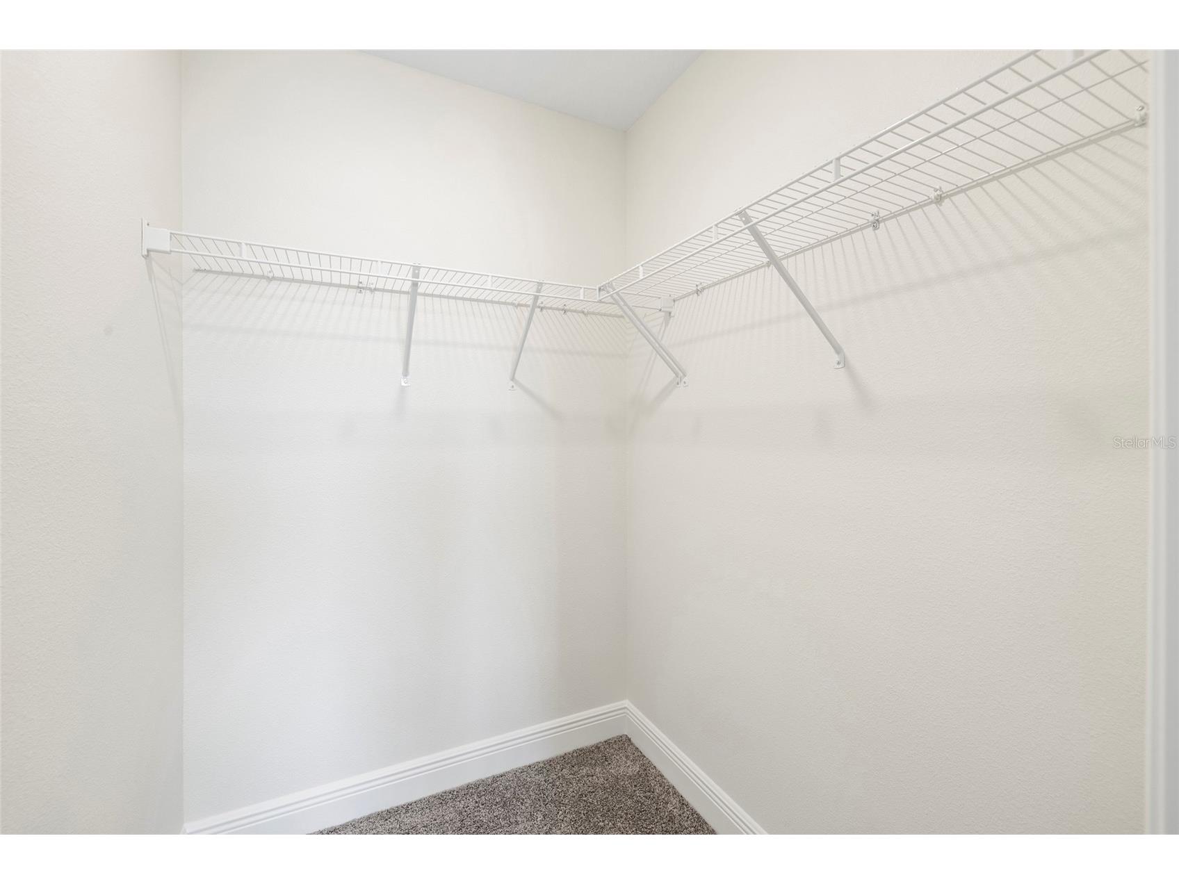 11641 Sweet Tangerine Lane Tampa FL 33626 TB8512622 image43