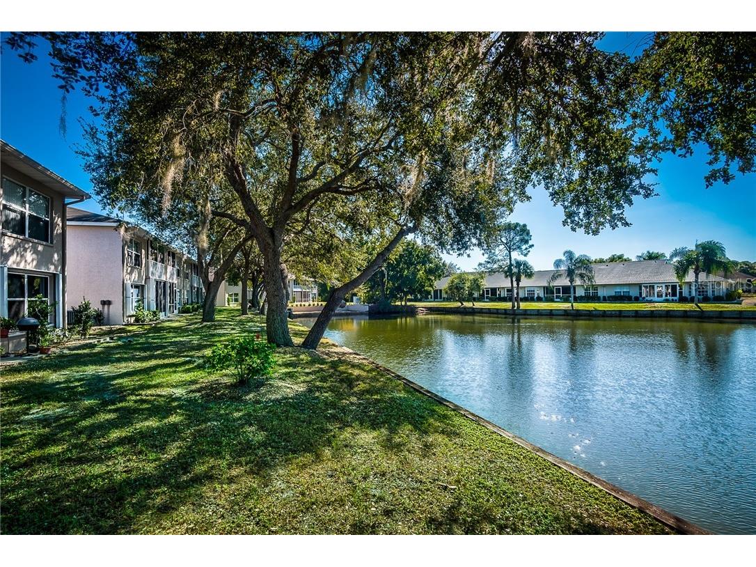 11644 SW Egret Circle #506 Lake Suzy FL 34269 C7423654 image43