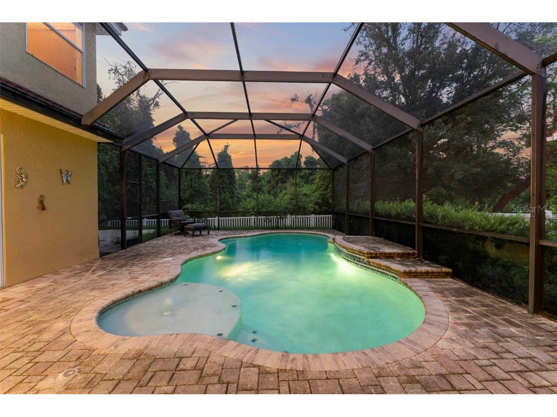 11645 Belle Haven Drive New Port Richey FL 34654 W7880379 image18