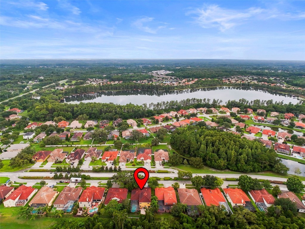 11645 Belle Haven Drive New Port Richey FL 34654 W7880379 image20
