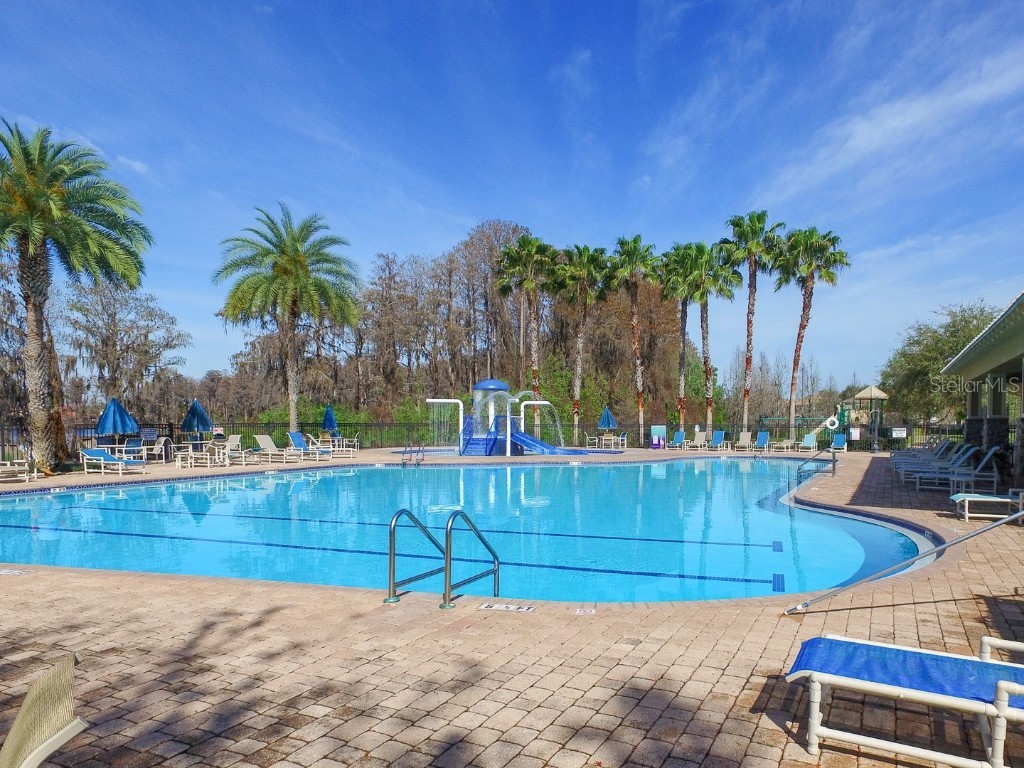 11645 Belle Haven Drive New Port Richey FL 34654 W7880379 image27