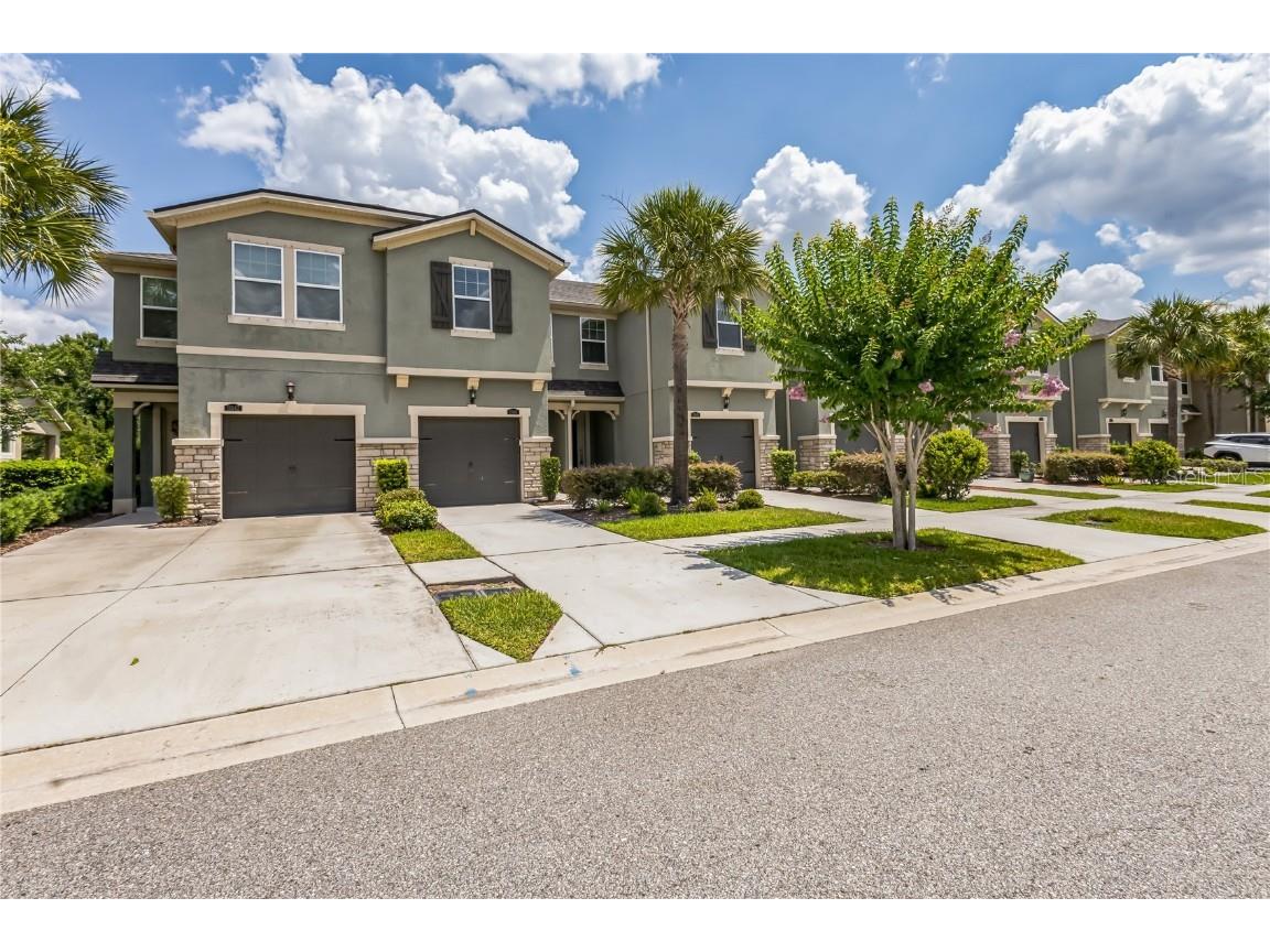 11646 Cambium Crown Drive Riverview FL 33569 T3529100 image1