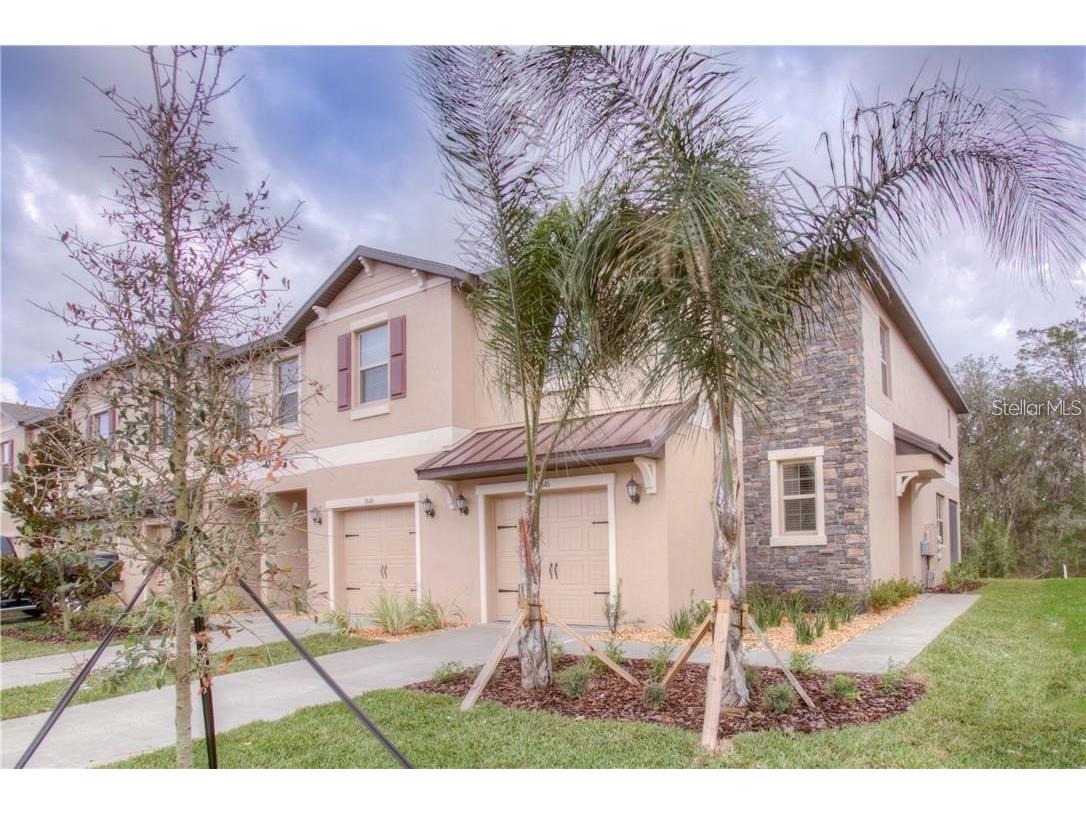 11646 Castine Street New Port Richey FL 34654 TB8519941 image1