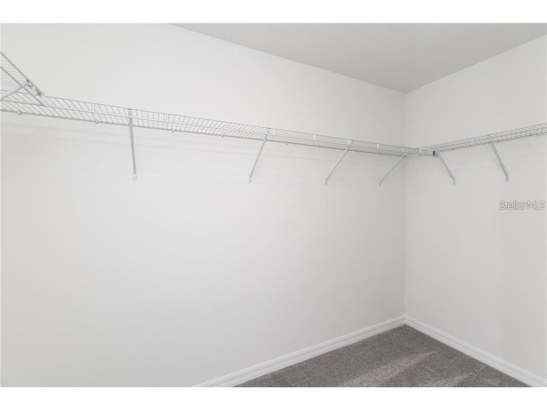 11646 Castine Street New Port Richey FL 34654 TB8519941 image19