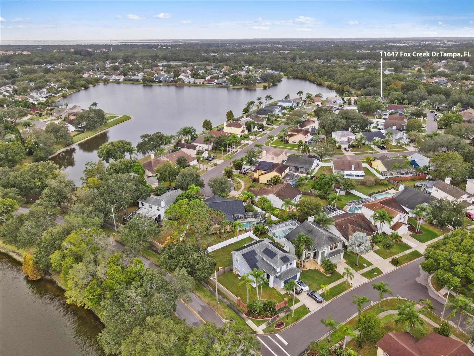 11647 Fox Creek Drive Tampa FL 33635 TB8475233 image46