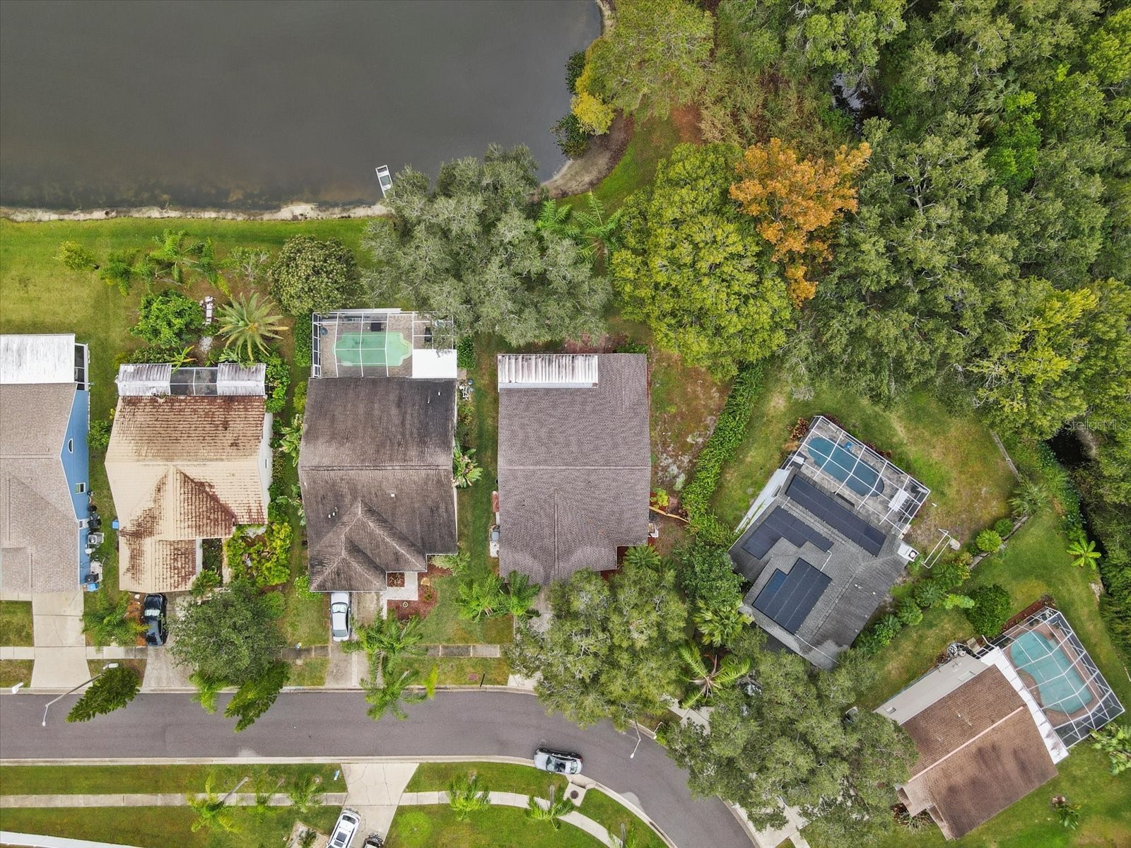 11647 Fox Creek Drive Tampa FL 33635 TB8475233 image47