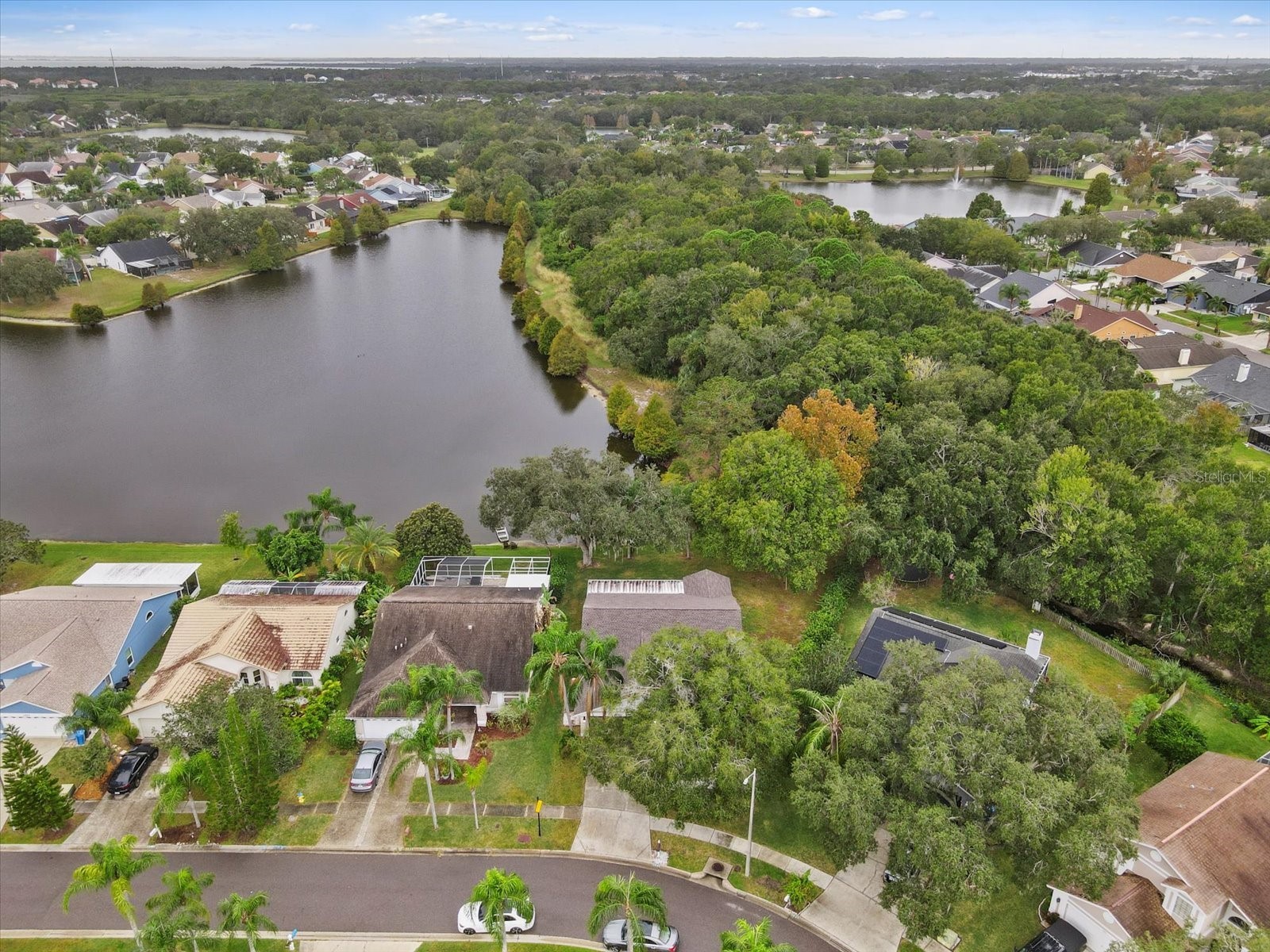 11647 Fox Creek Drive Tampa FL 33635 TB8475233 image48