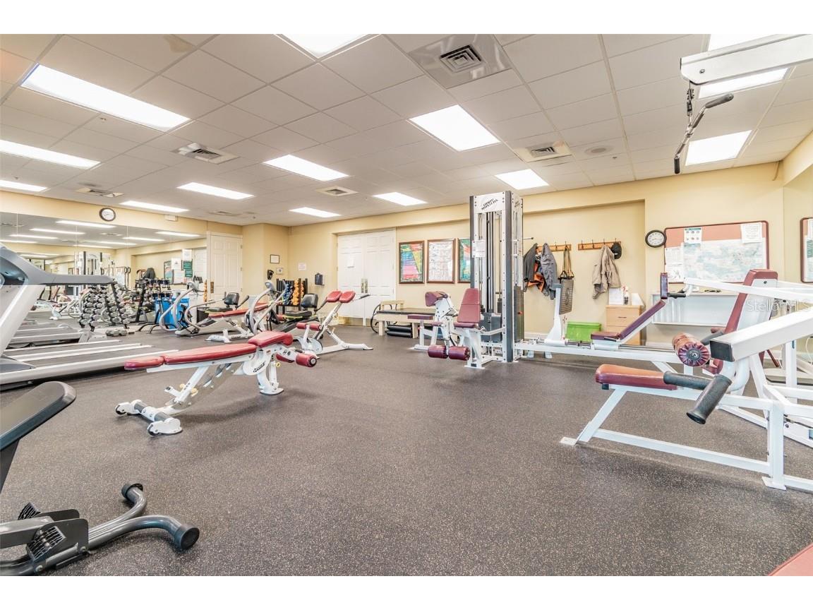 11647 Wheatfield Loop Hudson FL 34667 W7880442 image49