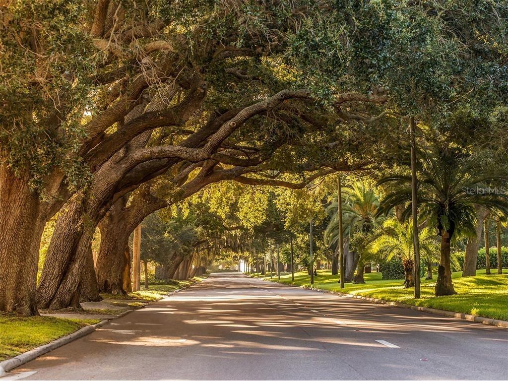 11649 Tempest Harbor Loop Venice FL 34292 TB8453347 image39