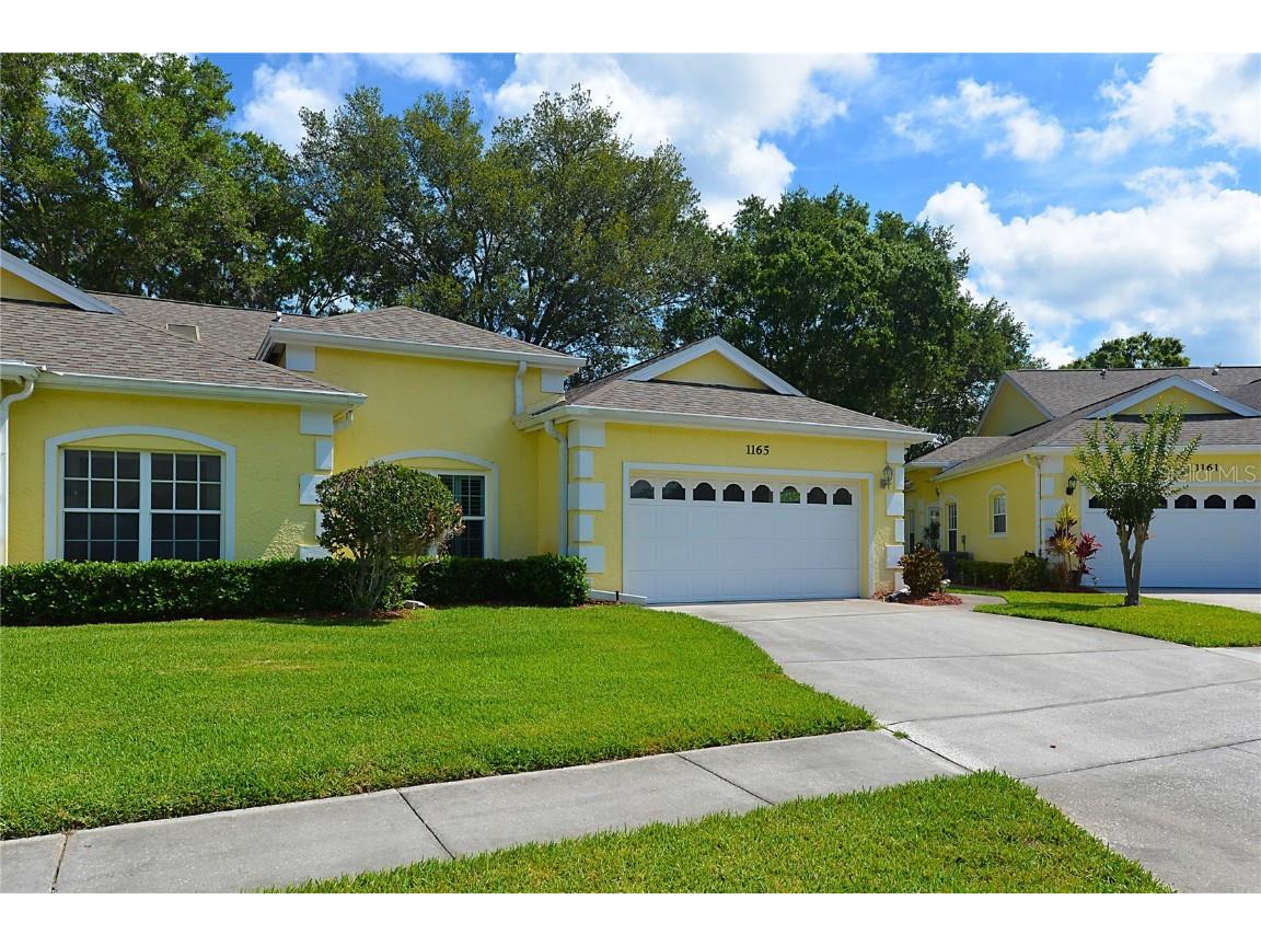 1165 Royal Boulevard Palm Harbor FL 34684 U8196807 image1