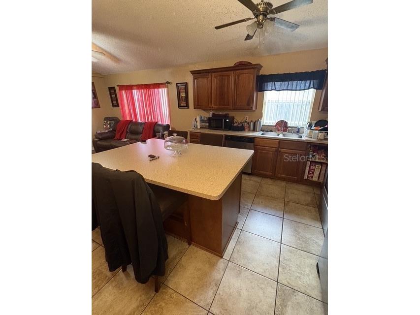 1165 Sheeler Hills Drive Apopka FL 32703 O6411948 image22
