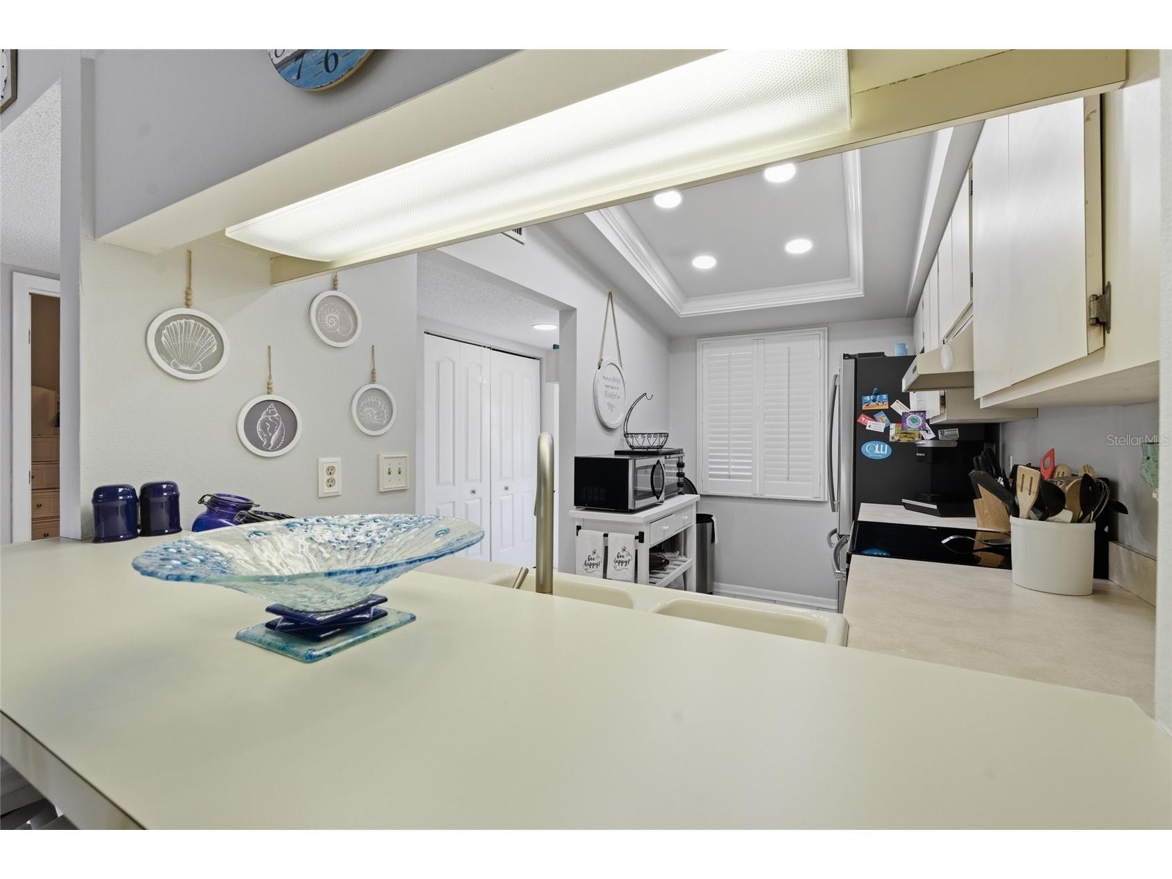 11650 Capri Circle S #204 Treasure Island FL 33706 TB8501688 image12