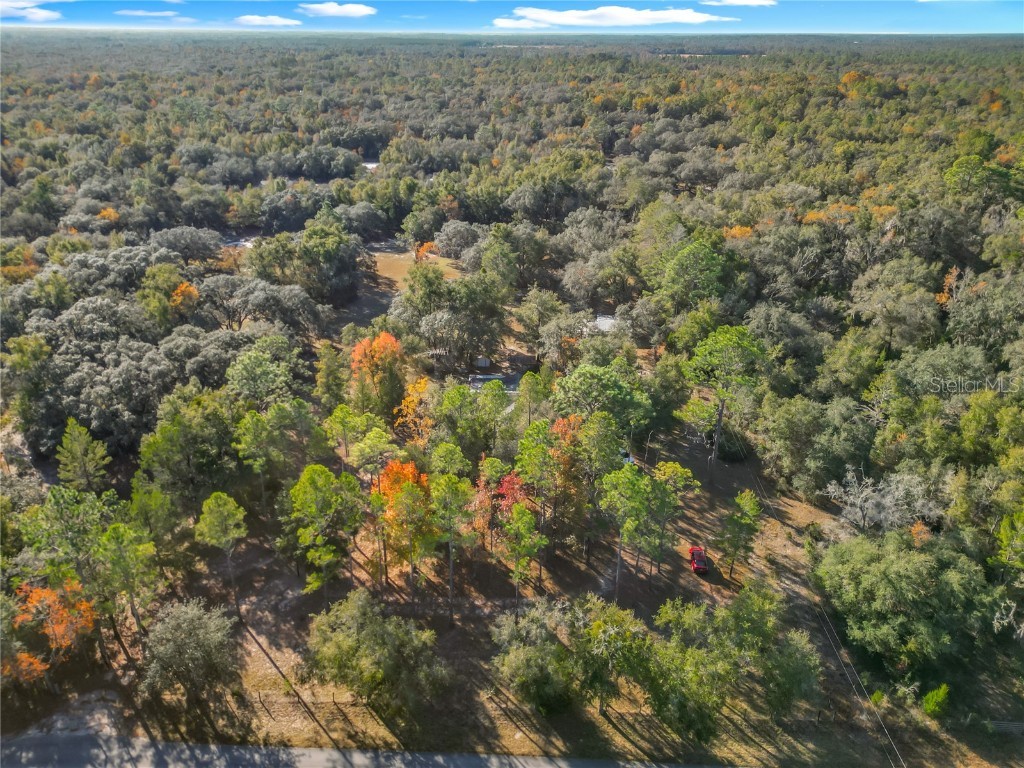 11650 NE 88th Lane Bronson FL 32621 OM714103 image10