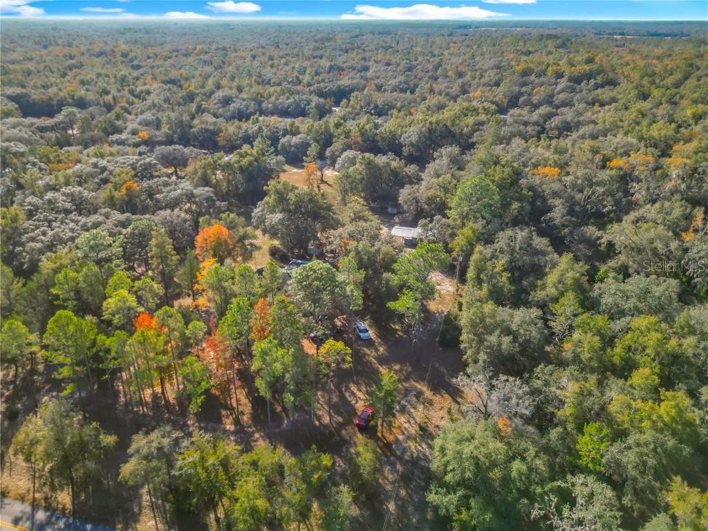 11650 NE 88th Lane Bronson FL 32621 OM714103 image11