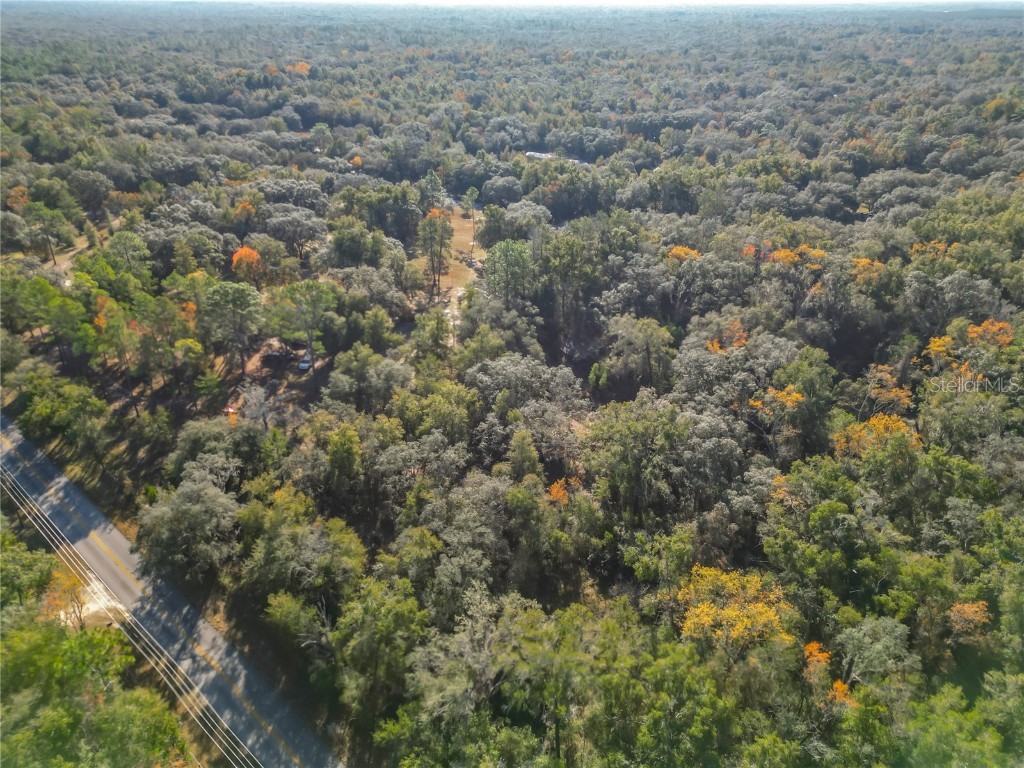 11650 NE 88th Lane Bronson FL 32621 OM714103 image12