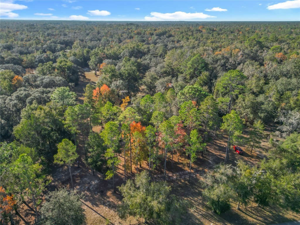 11650 NE 88th Lane Bronson FL 32621 OM714103 image13