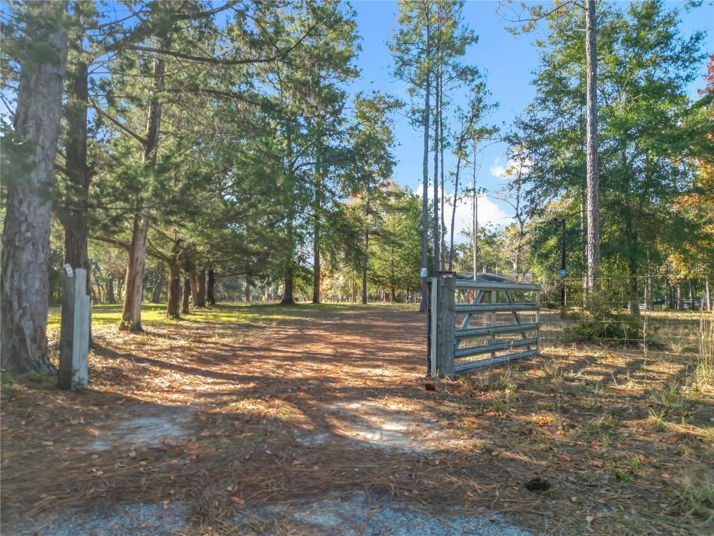 11650 NE 88th Lane Bronson FL 32621 OM714103 image15