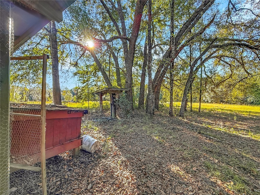 11650 NE 88th Lane Bronson FL 32621 OM714103 image60