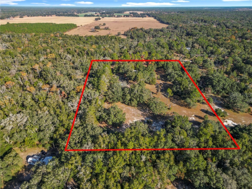 11650 NE 88th Lane Bronson FL 32621 OM714103 image7